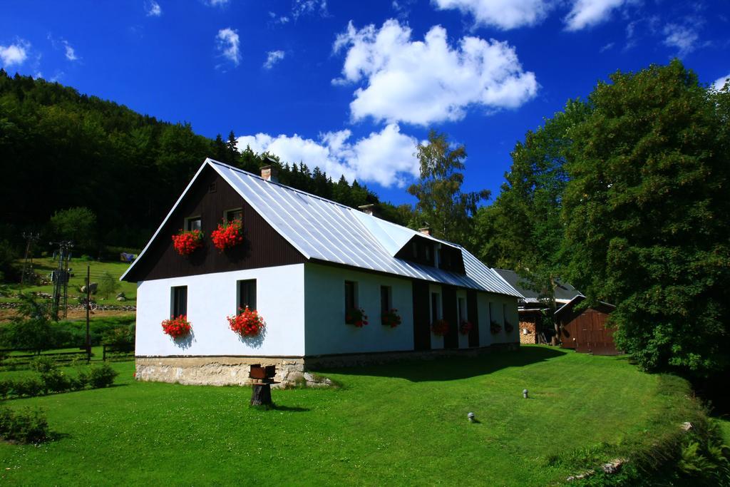 Guest House U Lakomce Desná Exterior foto