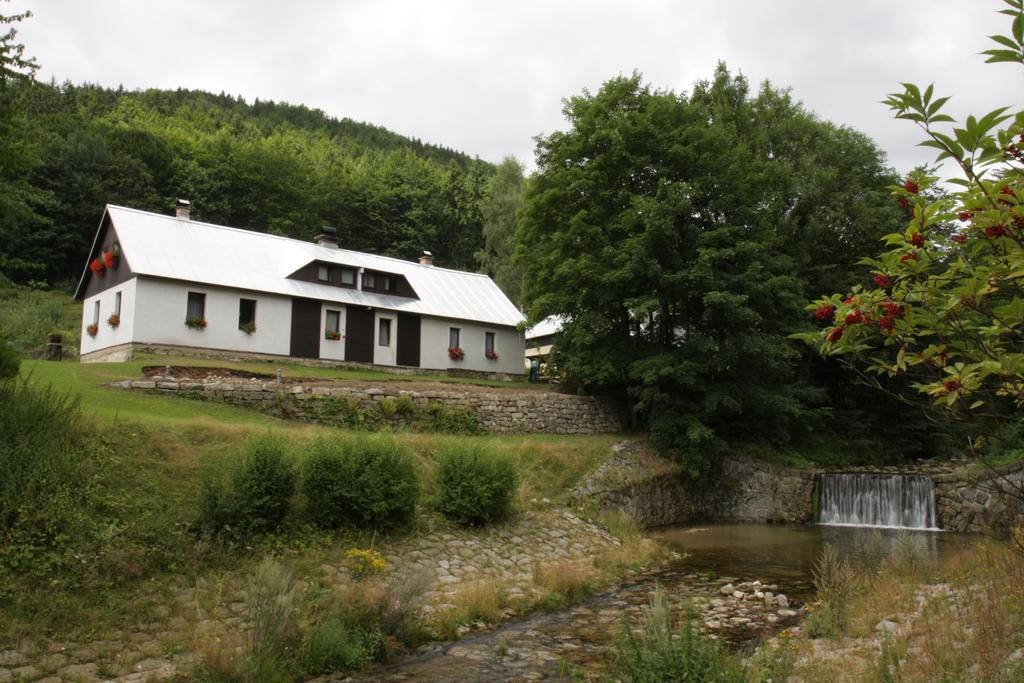 Guest House U Lakomce Desná Exterior foto